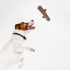 Zippy Paws ZippyTuff+ Tree Branch Plush Toy for Dogs Dogs-Toys Zippy Paws