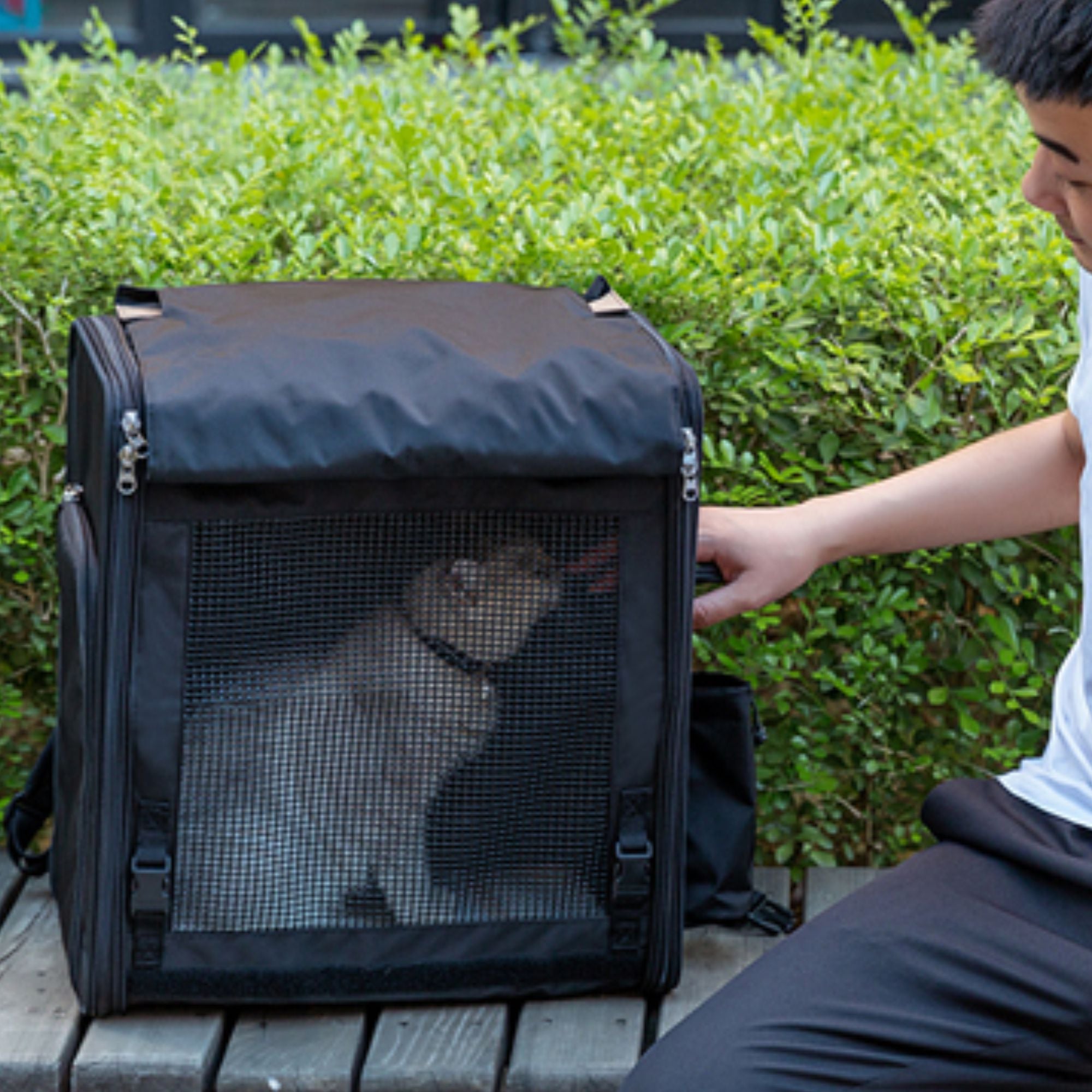 Truelove Airflow Premium Backpack Carrier for Dogs & Cats (Wistful Mauve) Both-Bedding, Mats & Travel Supplies Truelove
