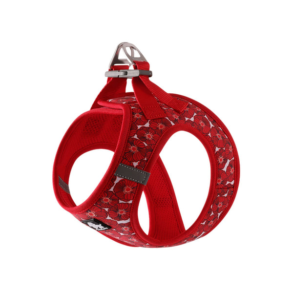 Truelove Floral Harness for Small & Medium Dogs (Malibu Blue)