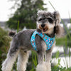 Truelove Floral Harness for Small & Medium Dogs (Malibu Blue) Both-Collar, Leashes, harnesses Truelove