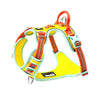 Truelove No Pull Cordura Harness for Dogs (Blazing Yellow) Both-Collar, Leashes, harnesses Truelove L