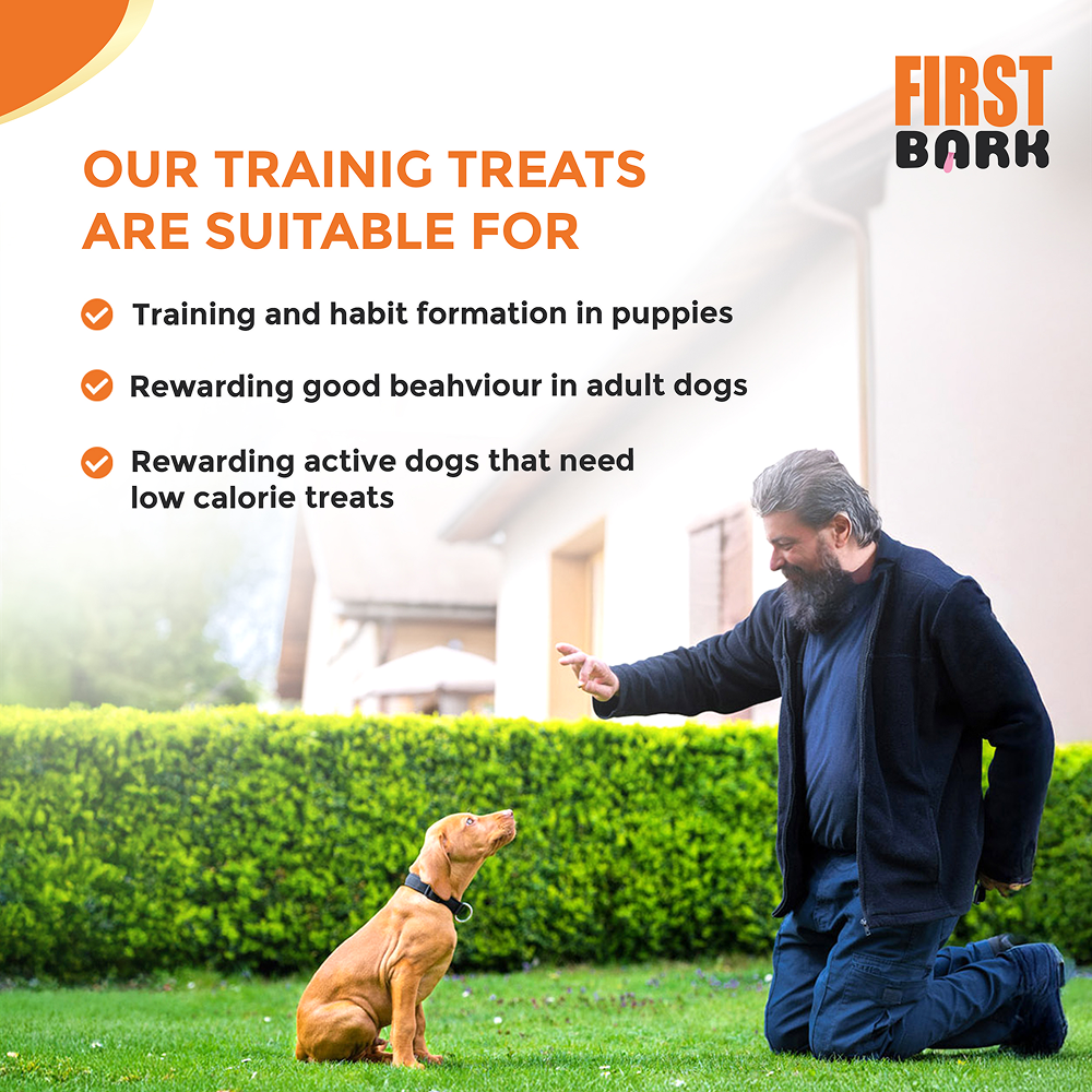 First Bark Chicken Training Cubes Dog Treat Dog Treats + Others First Bark