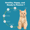 PetStrong Sardine & Tuna and White Fish in Gravy Cat Wet Food Combo Cats-Wet Food PetStrong