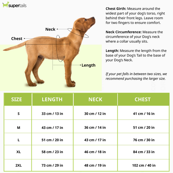 Talking Dog Club Player Ltd Edition Sports Jersey for Dogs (Yellow)