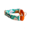 Dogobow Animal Print Martingale Collar for Dogs (Teal) Dogs-Collar, Leashes, harnesses Dogobow Dropship M