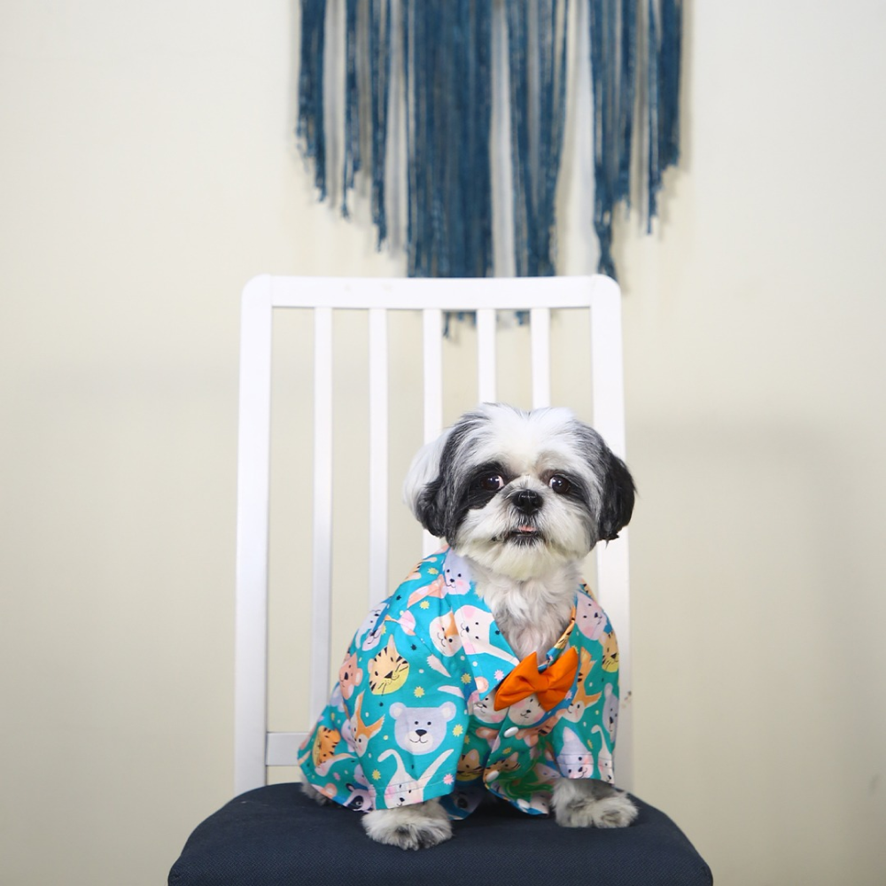 Dogobow Animal Print Shirt for Dogs (Teal) Dogs-Clothing & Accessories Dogobow Dropship