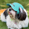 Dogobow Baseball Cap for Dogs and Cats (Teal Blue) (Get a Bow Free) Both-Clothing & Accessories Dogobow Dropship S
