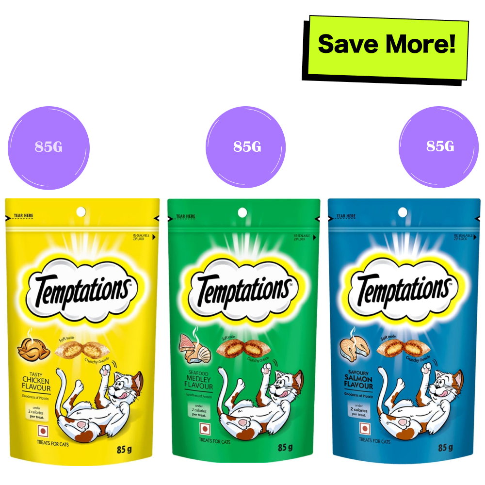 Temptations Savoury Salmon, Seafood Medley and Tasty Chicken Flavour Cat Treats Combo Cats-Treats & Others Temptations 3x85g