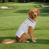Tommy Hilfiger Heritage Polo Tshirt for Dogs (Optic White) Dogs-Clothing & Accessories Tommy Hilfiger Dropship
