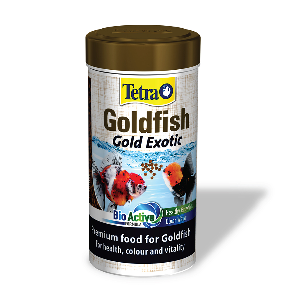 Tetra Gold Exotic Gold Fish Food Fish Tetra
