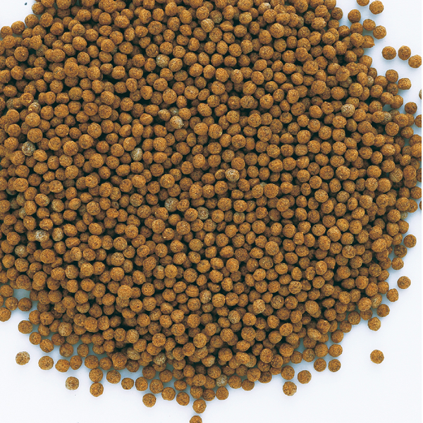 Tetra Gold Exotic Gold Fish Food