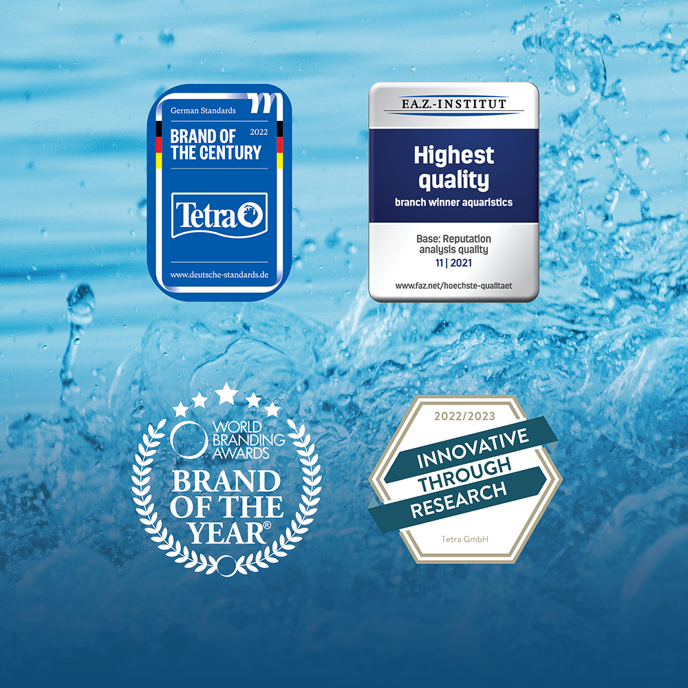 Tetra Gold Exotic Gold Fish Food Fish Tetra