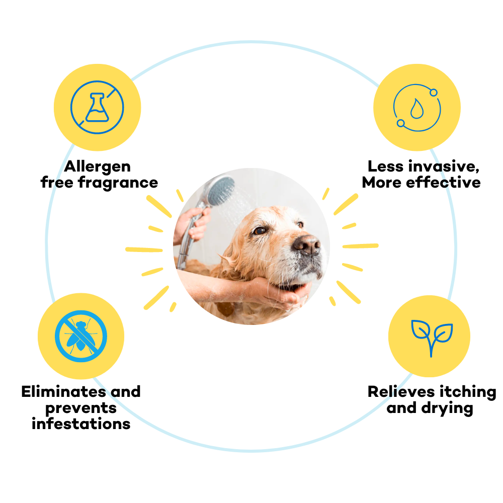 The Good Paws Tick Tick Boop Shampoo for Dogs Dogs-Grooming Supplies The Good Paws Dropship