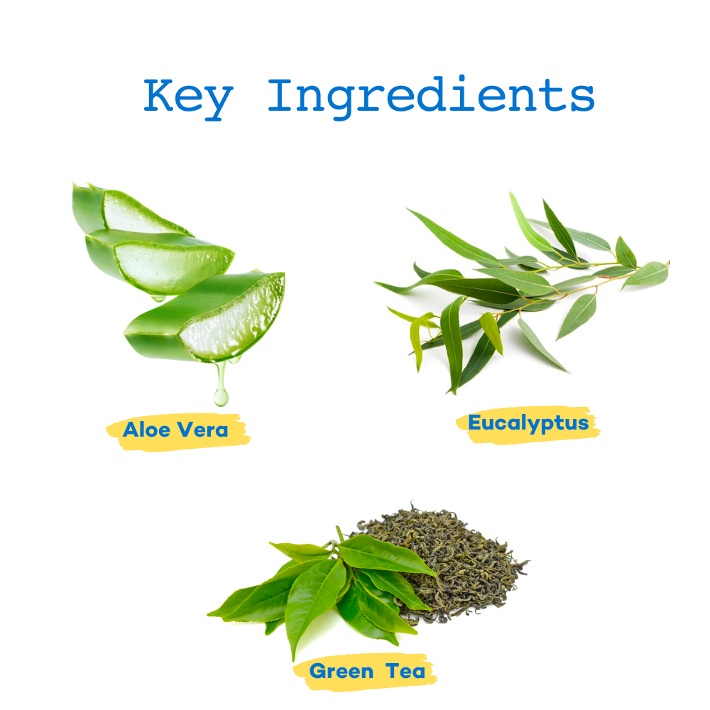 The Good Paws Tick Tick Boop Shampoo for Dogs Dogs-Grooming Supplies The Good Paws Dropship