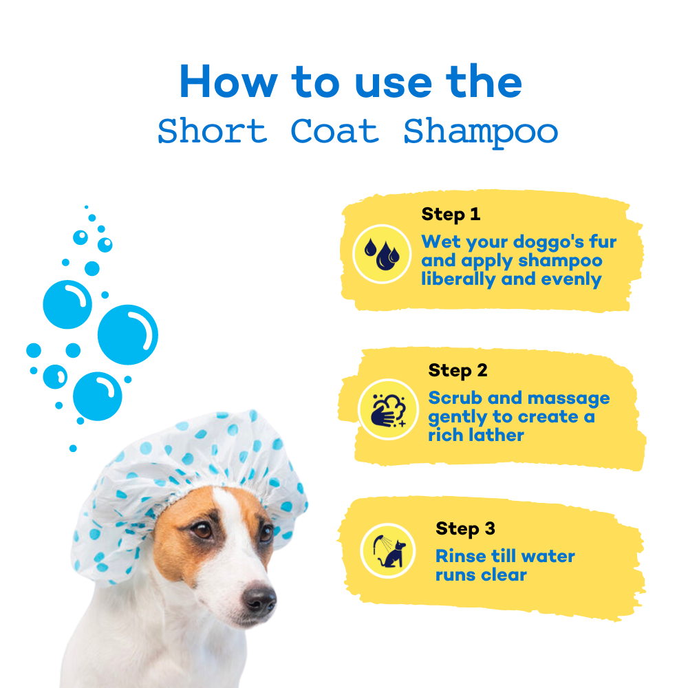 The Good Paws FRESSSSH AF Short Coat Shampoo for Dogs