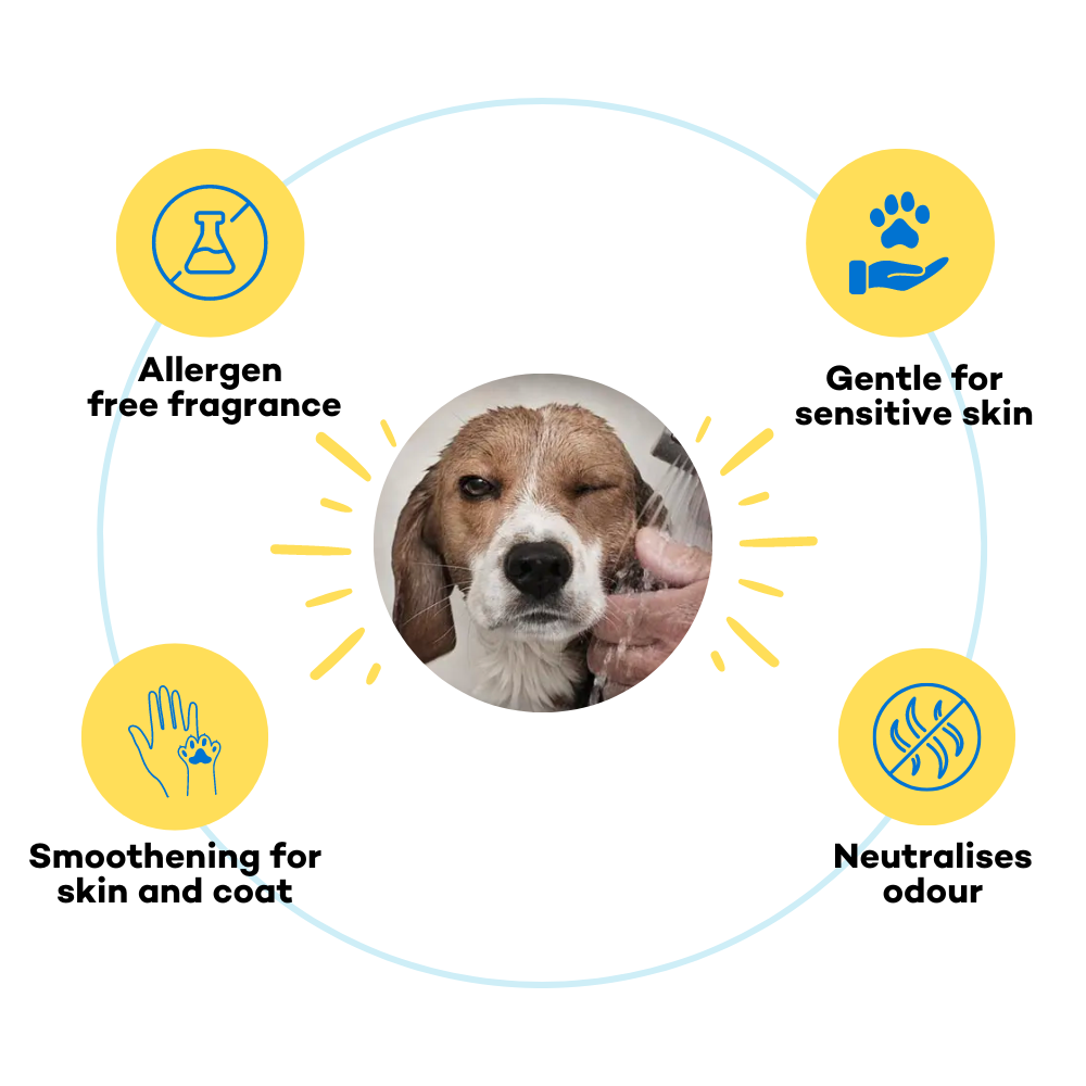 The Good Paws FRESSSSH AF Short Coat Shampoo for Dogs Dogs-Grooming Supplies The Good Paws Dropship