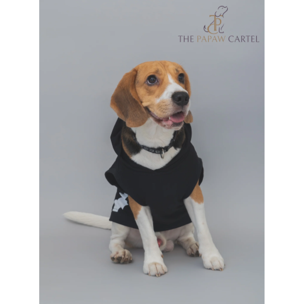 The Papaw Cartel Everyday Mood Hoodie Tshirt for Dogs (Black) Dogs-Clothing & Accessories The Papaw Cartel Dropship M
