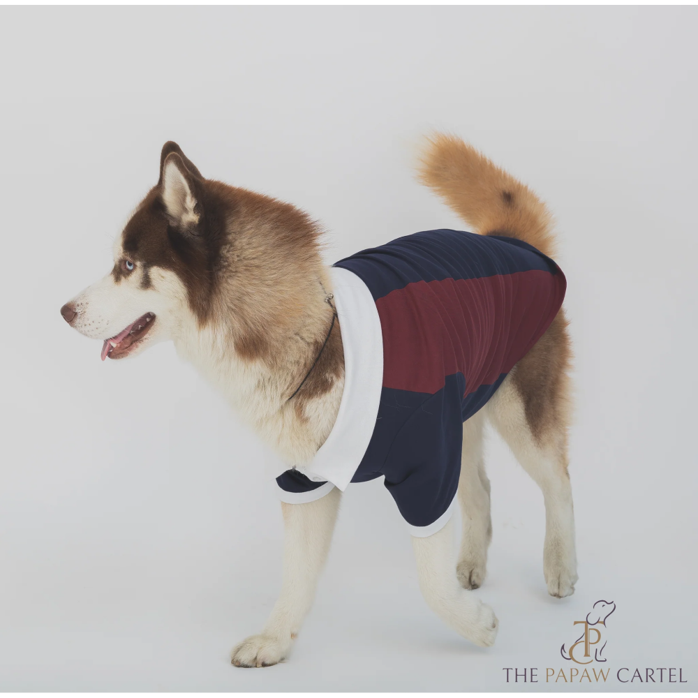 The Papaw Cartel Multi Color Golf Polo Tshirt for Dogs (Blue/Maroon) Dogs-Clothing & Accessories The Papaw Cartel Dropship