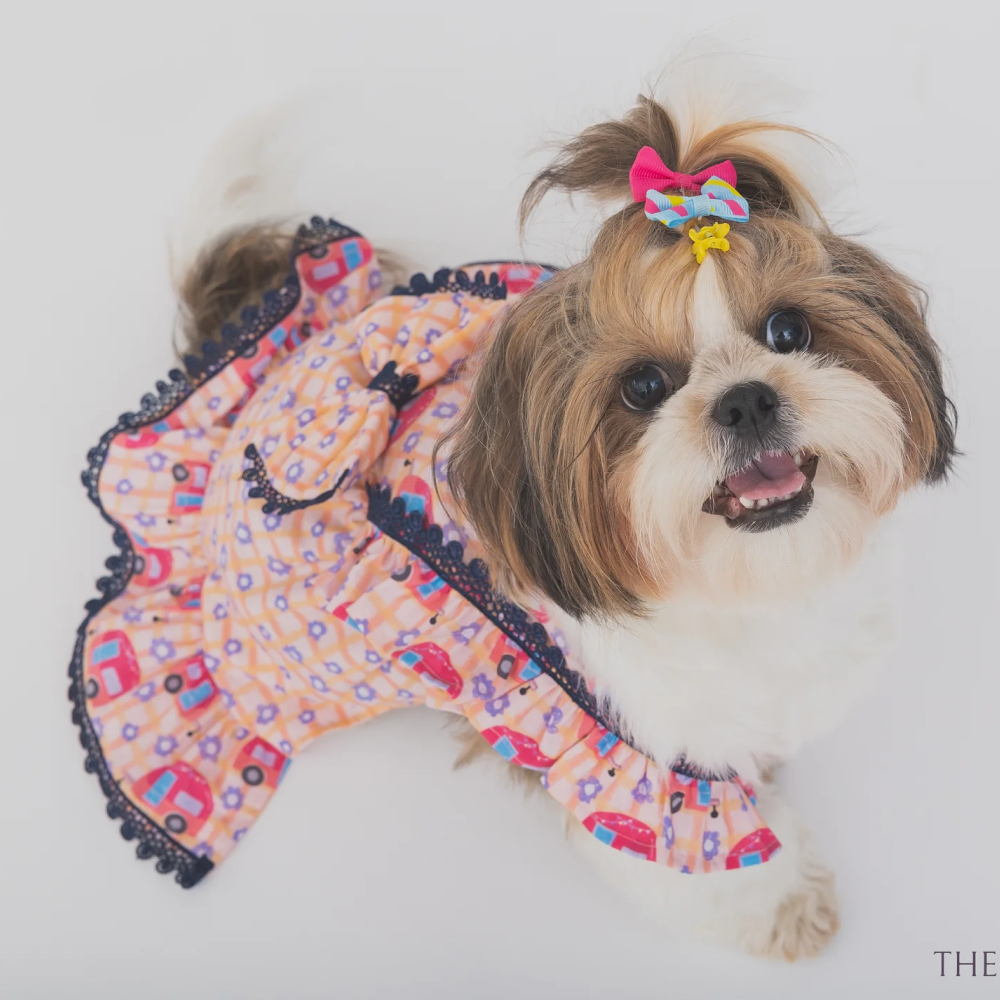 The Papaw Cartel Caravan Plaid Frilled Dress With A Bow for Dogs (Light Pink/Orange)