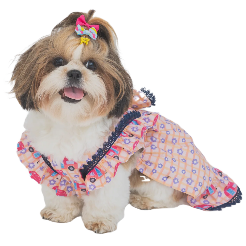 The Papaw Cartel Caravan Plaid Frilled Dress With A Bow for Dogs (Light Pink/Orange)