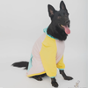 The Papaw Cartel Candy Floss Color Blocking Hoodie Tshirt for Dogs (Pink/Blue/Yellow) Dogs-Clothing & Accessories The Papaw Cartel Dropship S
