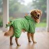 Barkbutler x Fofos Four Leg Dinosaur Raincoat for Dogs (Green) Dogs-Clothing & Accessories Barkbutler S