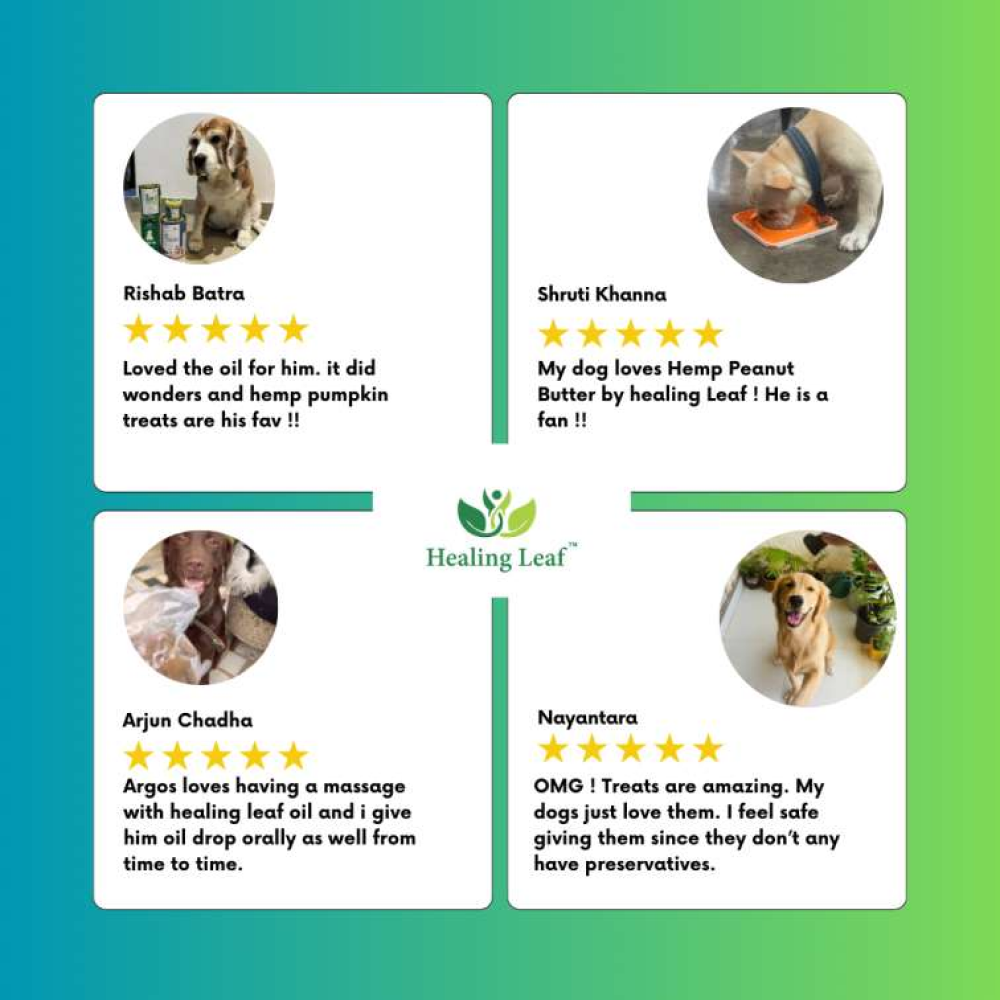 Healing Leaf Hemp Blueberry Dog Treats
