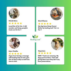 Healing Leaf Hemp Blueberry Dog Treats