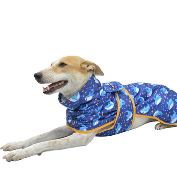 Pets Way TPU Thunder Printed Raincoat for Dogs (Sea)