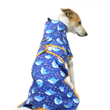 Pets Way TPU Thunder Printed Raincoat for Dogs (Sea)