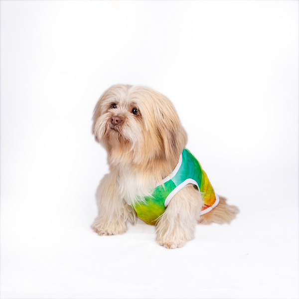 Pets Way Tie & Dye Holi T shirt for Dogs