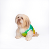 Pets Way Tie & Dye Holi T shirt for Dogs Dogs-Clothing & Accessories Pets Way Dropship