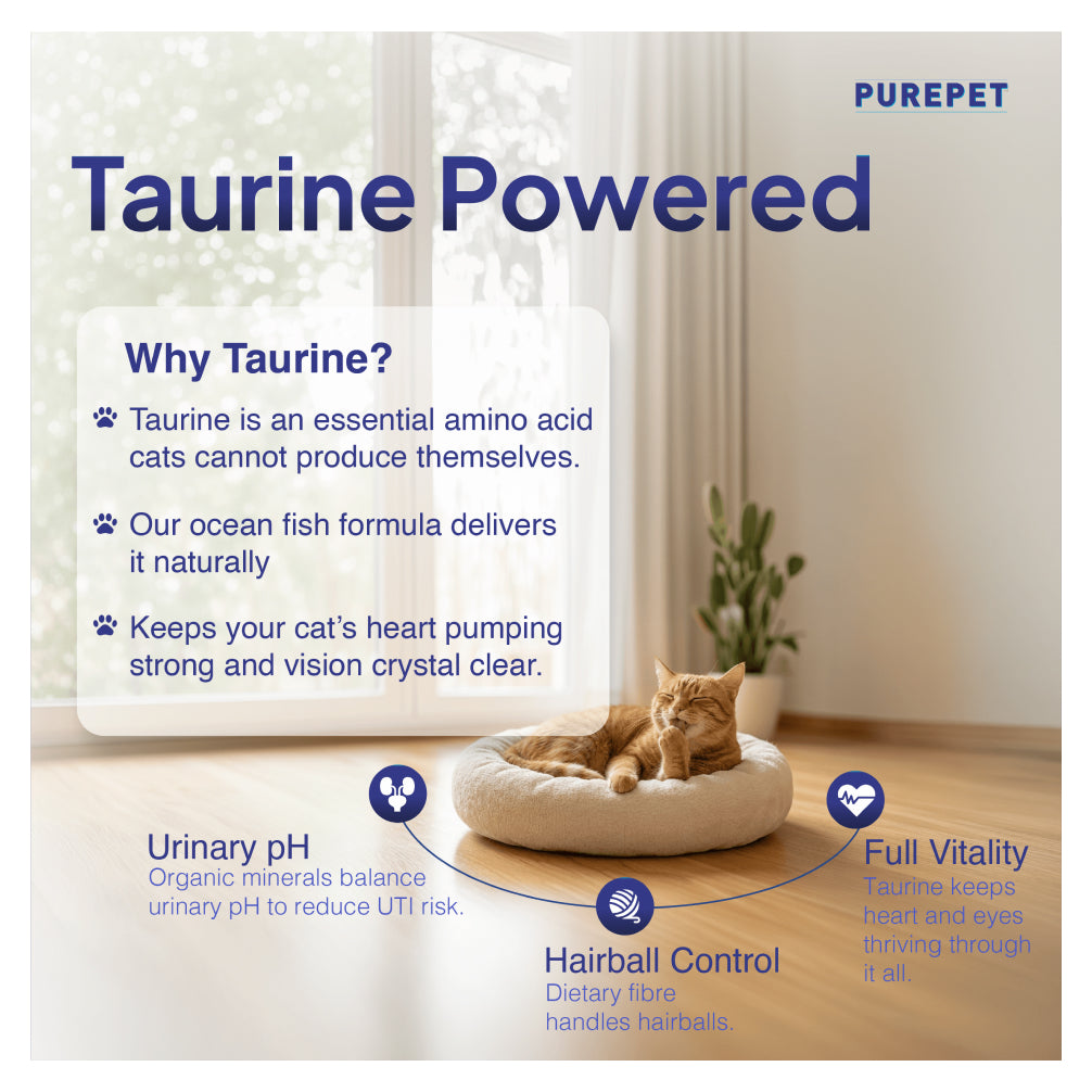 Purepet Ocean Fish Adult Cat Dry Food Cats- Dry food Purepet