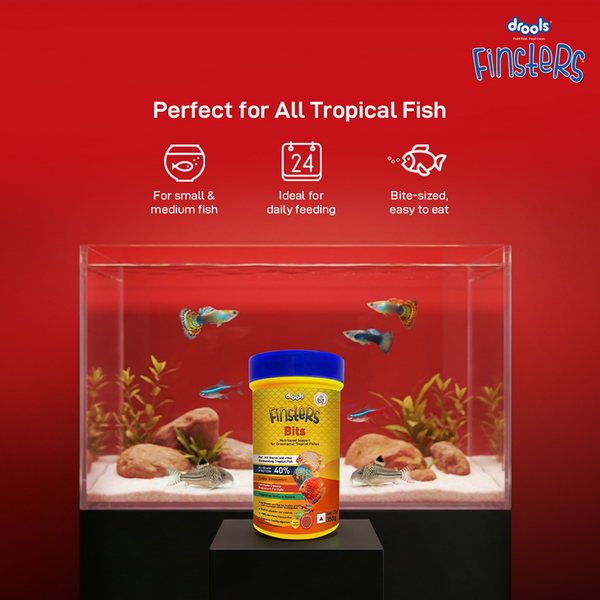 Drools Finsters Bits Fish Food