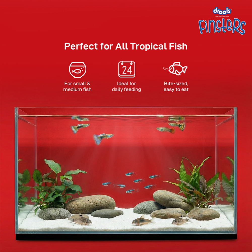 Drools Finsters Bits Fish Food Fish Drools Finisters