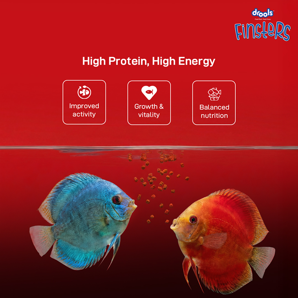 Drools Finsters Bits Fish Food Fish Drools Finisters