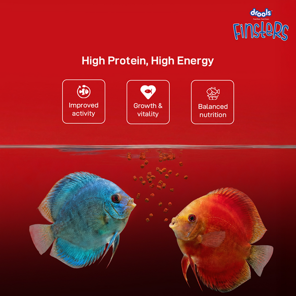 Drools Finsters Bits Fish Food