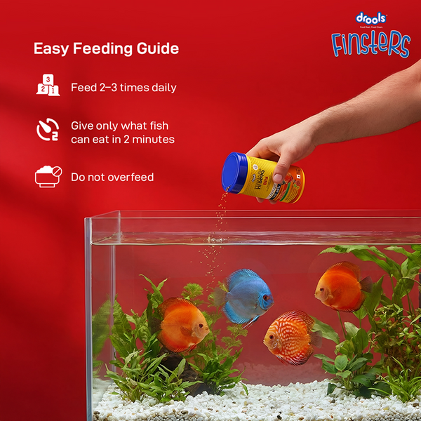 Drools Finsters Bits Fish Food