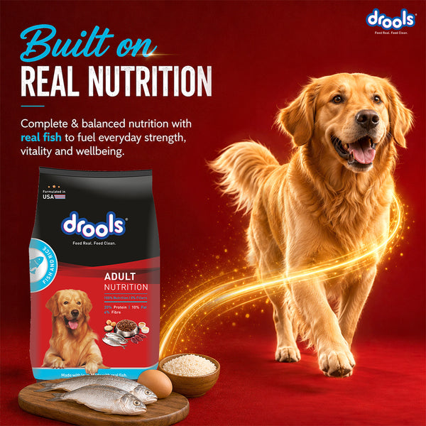 Drools Fish and Rice Adult Dog Dry Food
