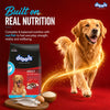 Drools Fish and Rice Adult Dog Dry Food Dogs- Dry Food Drools