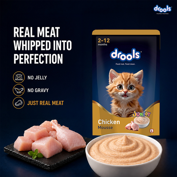 Drools Chicken Mousse Kitten Cat Wet Food