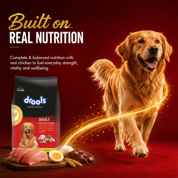 Drools Chicken and Egg Adult Dog Dry Food
