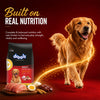 Drools Chicken and Egg Adult Dog Dry Food Dogs- Dry Food Drools