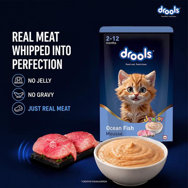 Drools Ocean Fish Mousse Kitten Cat Wet Food
