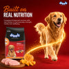 Drools Turkey and Pumpkin Adult Dog Dry Food Dogs- Dry Food Drools
