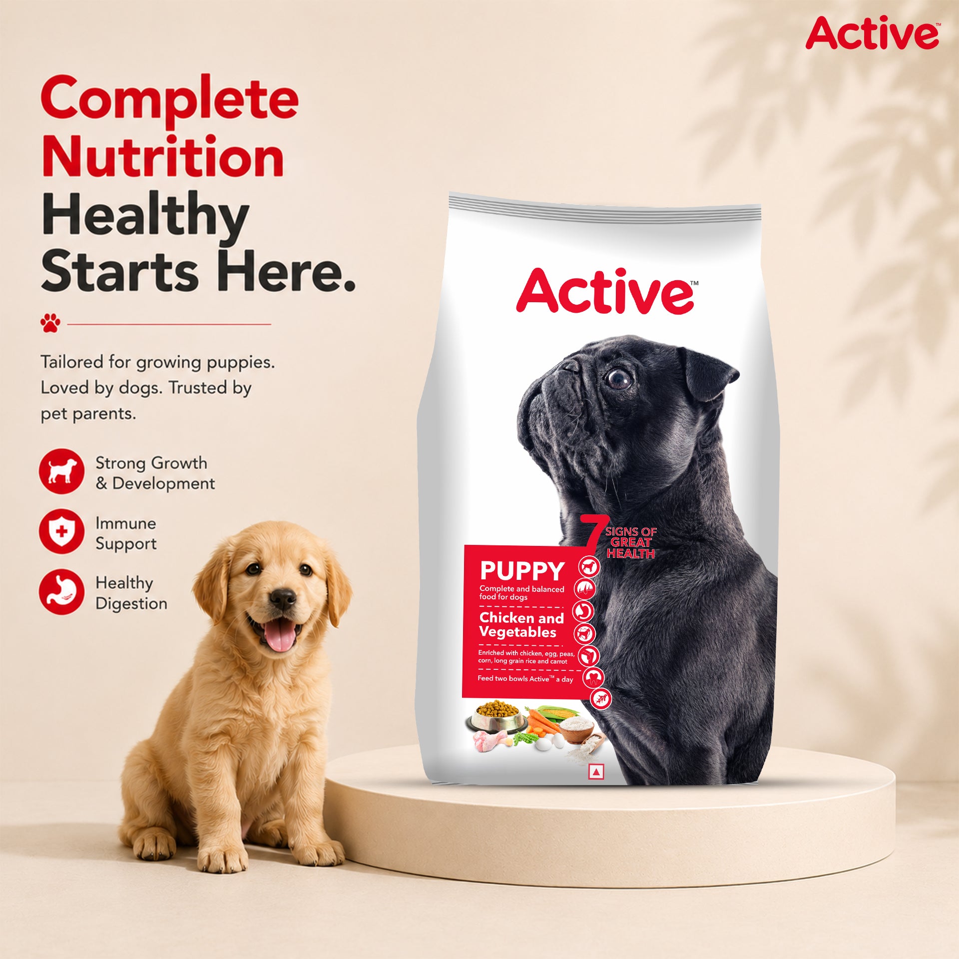 Active Chicken and Vegetables Puppy Dog Dry Food (Buy 1 Get 1) Dogs- Dry Food Active
