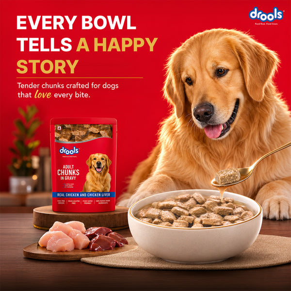 Drools Real Chicken & Chicken Liver Chunks in Gravy Adult Dog Wet Food (60g)