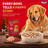 Drools Real Chicken & Chicken Liver Chunks in Gravy Adult Dog Wet Food (60g) Dogs-Wet Food Drools