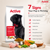 Active Chicken and Vegetables Puppy Dog Dry Food (Buy 1 Get 1) Dogs- Dry Food Active