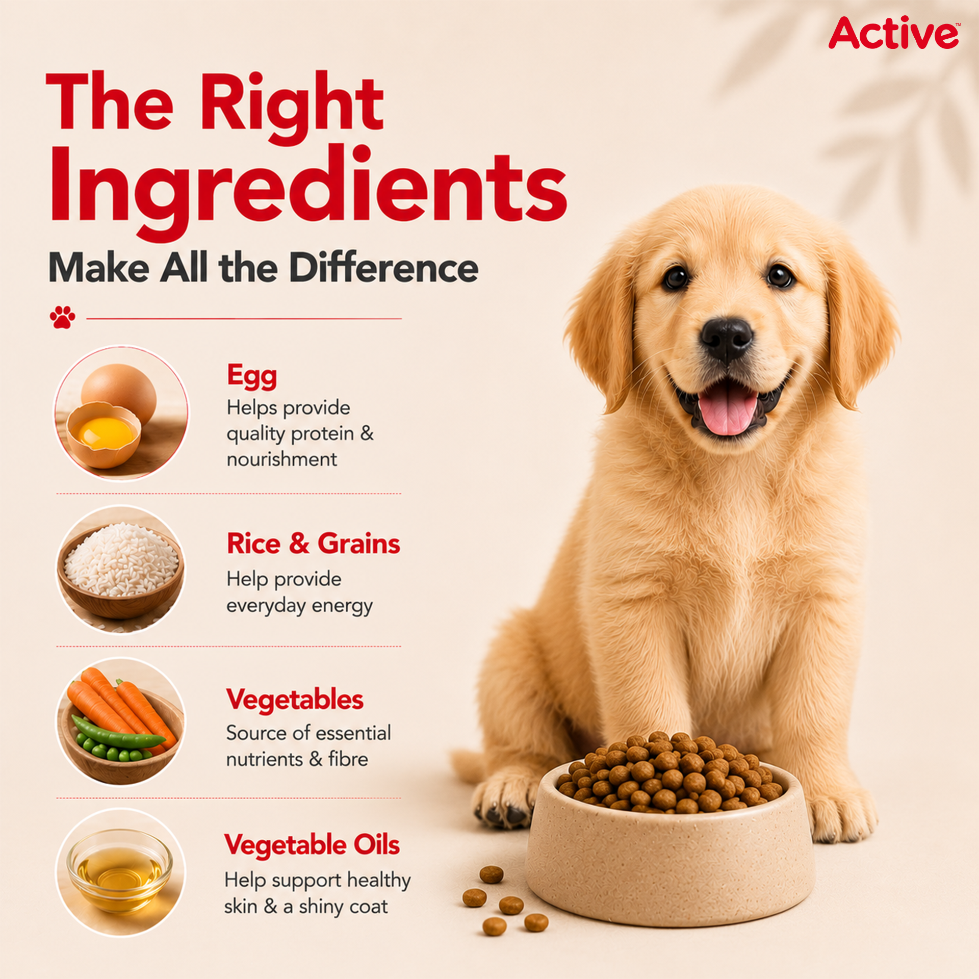 Active Chicken and Vegetables Puppy Dog Dry Food (Buy 1 Get 1) Dogs- Dry Food Active